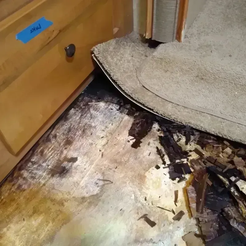 Best Wood Floor Water Damage Service in Portage, IN